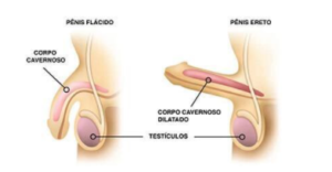 Ilustração do tratamento